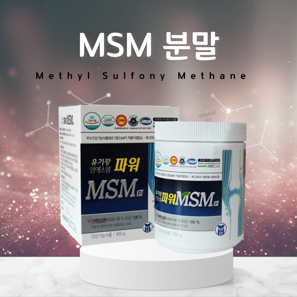 관절 MSM 엠에스엠